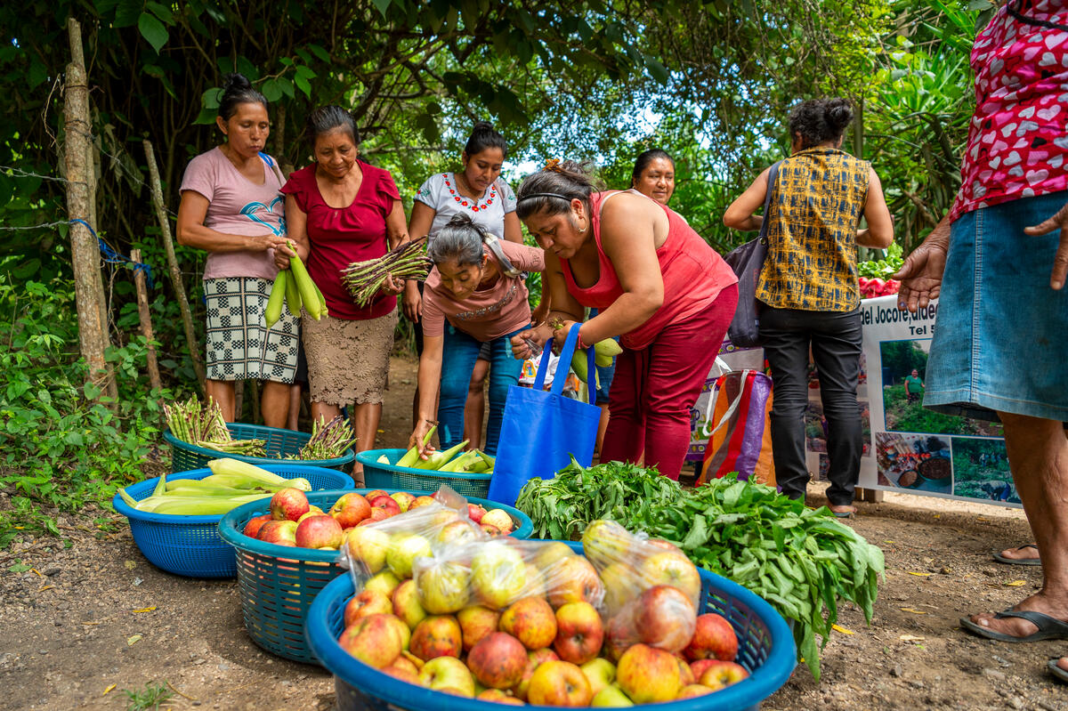 Un grupo de mujeres compra verduras frescas en un mercado al aire libre en Guatemala. 