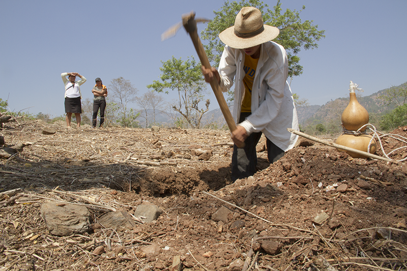 FAO y WFP preocupados por el grave impacto de la sequía entre los más vulnerables de Centroamérica