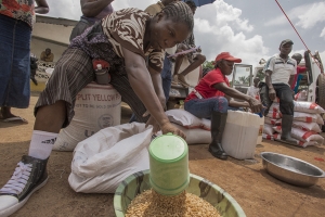 Cientos de miles de personas se enfrentan al hambre en los tres países más afectados por el ébola