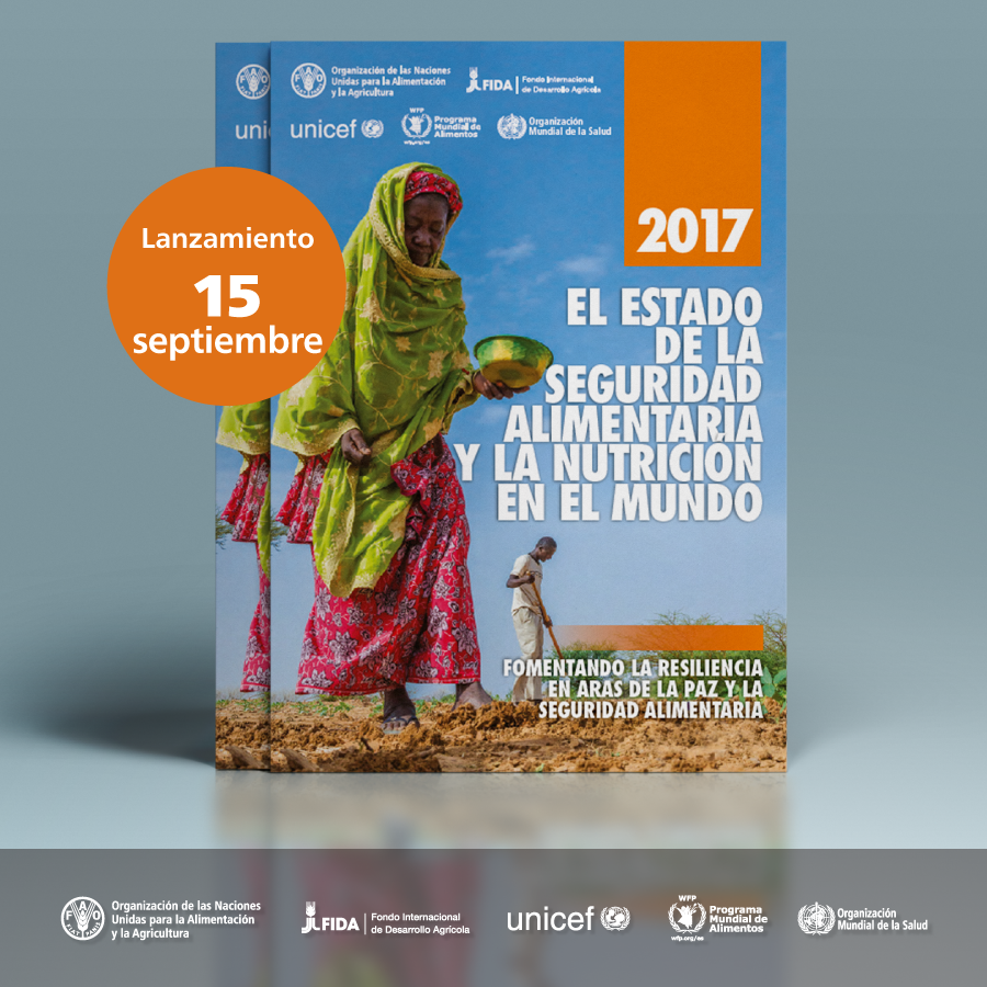 Vuelve a crecer el hambre en el mundo, impulsada por los conflictos y el cambio climático, según un nuevo informe de la ONU