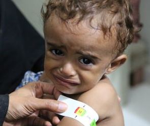 WFP Lanza una Nueva Operación de Emergencia en Yemen para Alimentar a Millones de Personas al Borde de la Hambruna