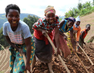 Programa del WFP para la resiliencia de los medios de subsistencia de Rwanda en Rutsiro (Rwanda occidental). Foto: WFP/Emily Fredenberg