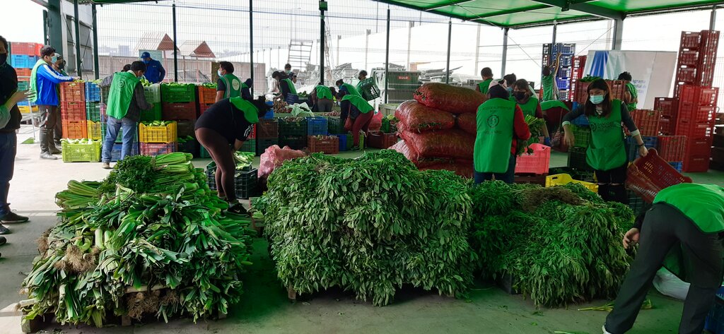 Rescatan alimentos descartados en el mercado para alimentar a miles de personas