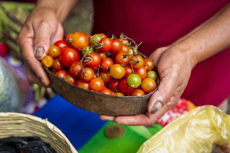 Informe ONU: 131 millones de personas en América Latina y el Caribe no pueden acceder a una dieta saludable 