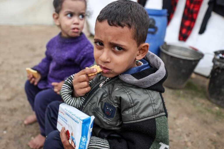 Un nuevo informe advierte que la hambruna es inminente en el norte de Gaza