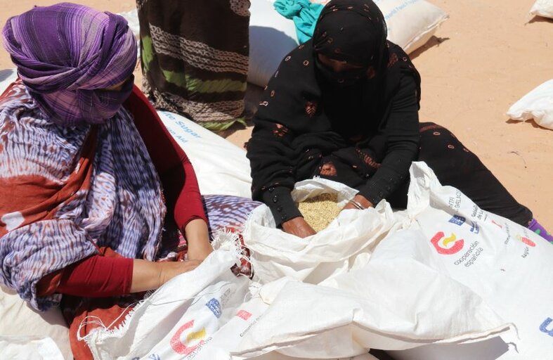 España y 11 de sus regiones aumentan apoyo a los refugiados saharauis en Argelia