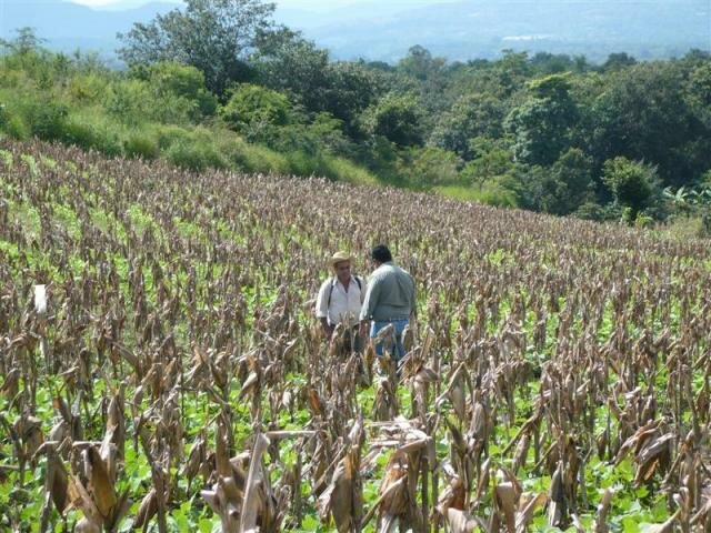 Día Mundial de la Alimentación: el PMA destaca el liderazgo de los gobiernos