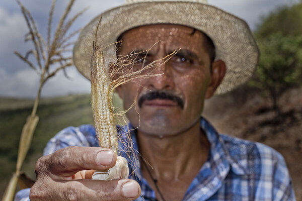 Reducir el impacto de El Niño en el Corredor Seco Centroamericano: reforzar la resiliencia e invertir en agricultura sostenible