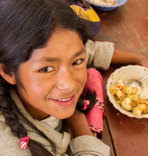 Análisis Costo - Beneficio en Bolivia