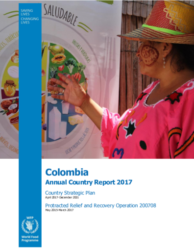 Informe Anual Colombia 2017