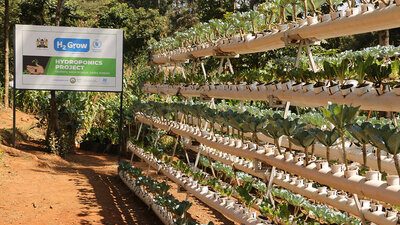 En Kibera, Kenia, el WFP ha implementado la agricultura hidropónica en la escuela primaria Olympic, con una gran participación de los estudiantes y la comunidad local. WFP/Martin Karimi