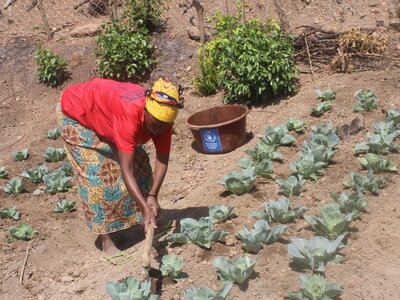 Foto: WFP/Kadijah Savane