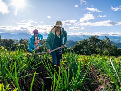 Dos mujeres cultivan la tierra. Foto: WFP/Esteban Barrera
