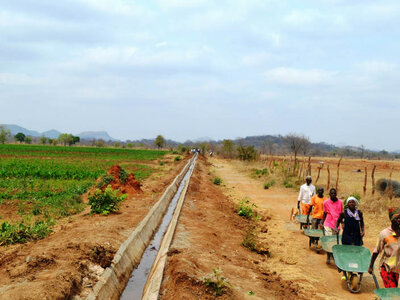 men working in field