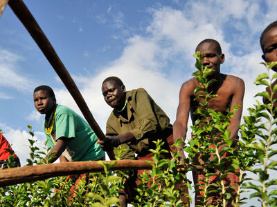 farmers