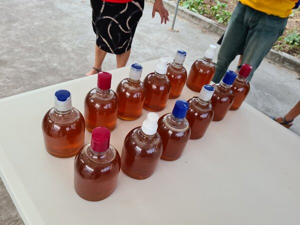 Nicaragua Mujeres producen miel de abeja 03