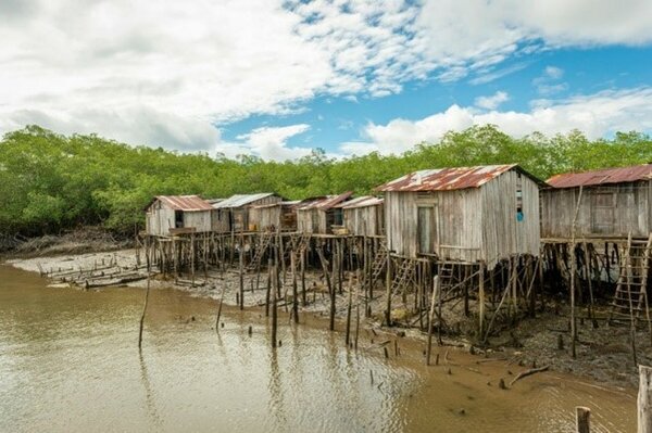 Vista de la comunidad de Punta de Miguel desde el manglar.