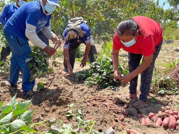 Todos los miembros de la familia Amaya colaboran en el huerto.