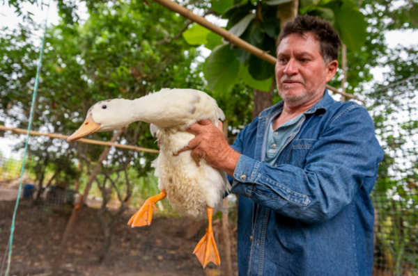 Marcelo Granda sostiene un pato de su granja.