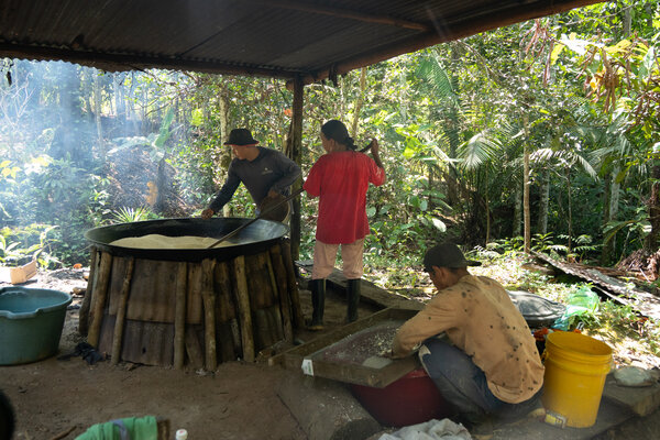 Indigenous woman in red T-shirt roasts yucca flour on an open fire in the Amazon forest, helped by two men