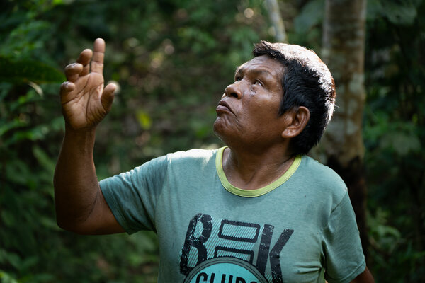 Indigenous man in washed-out greenish T-shirt looks up in the Amazon forest