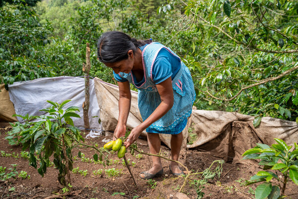 Maria Dolores trabajando la tierra.