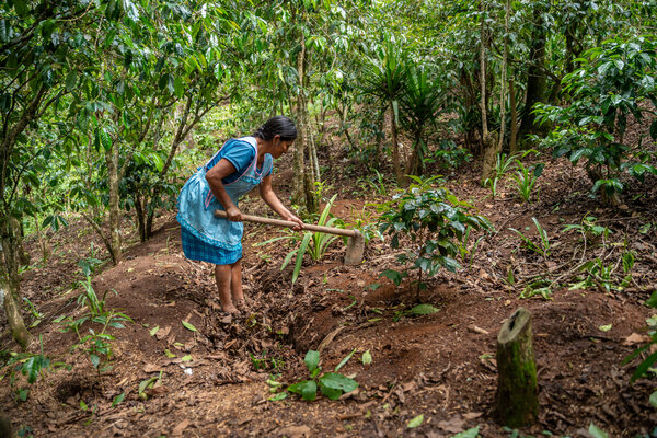 Maria Dolores trabajando la tierra.