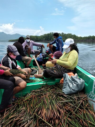 Historia Peces Honduras 12