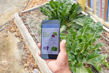 En un clic se tiene acceso a inventario, precios y facturación de los alimentos. Foto: WFP/Irshad Khan