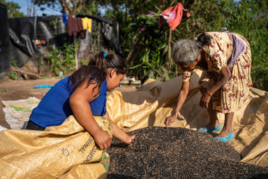 Dos mujeres clasificando el frijol recién cosechado