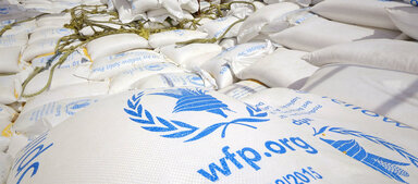 WFP/Ammar Baratraf wfp bags