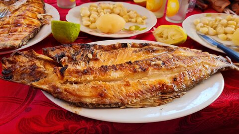 Bolivia: el pescado es el menú del día en comunidades guaraníes