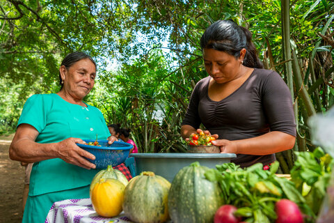 ‘Sí podemos’ es el mensaje de agricultoras guatemaltecas en el Corredor Seco