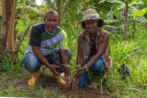 La líder afro-ecuatoriana Inés Morales, derecha, siembra un plantón de manglar como parte del proyecto de reforestación a lo largo de la frontera colombo-ecuatoriana. Foto: WFP/Daniel Torres