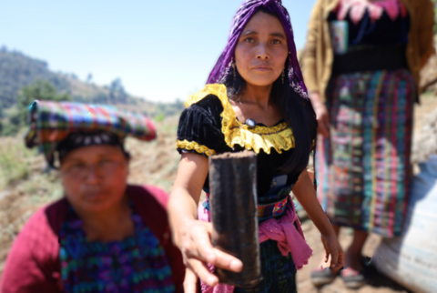 Donde nadie lo imaginaría, florece la esperanza
