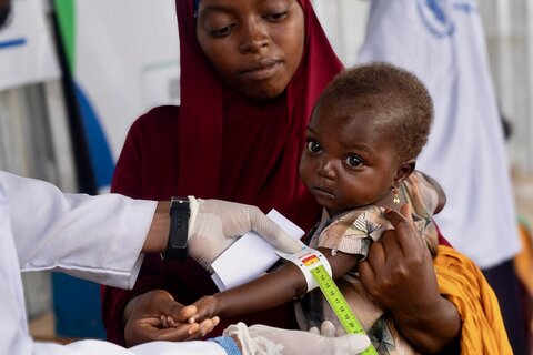 Cómo las crisis que se superponen están determinando la emergencia alimentaria en Somalia
