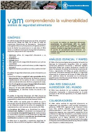 VAM: el análisis de la seguridad alimentaria