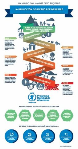 Infografía: la reducción de riesgos de desastres