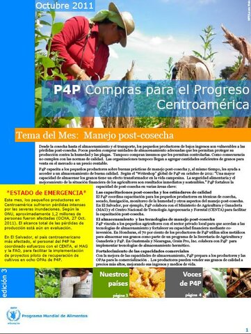Boletín Compras para el Progreso (P4P) - Centroamérica (Octubre)