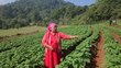 Mujeres lenca se superan con transferencias monetarias