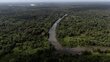 Toma aérea del río Orinoco cruzando el espeso bosque. Foto: Matías Delacroix