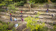 Vista aérea de un campo cultivado por la comunidad de mujeres de más de 50 años en Chiquimula, Guatemala. Foto: WFP/Giulio d'Adamo