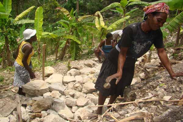 5 años después del terremoto, PMA y el pueblo haitiano construyen un país más fuerte