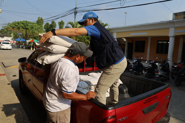 Distribución de semillas resistentes a la sequía. Foto: WFP