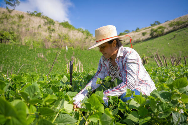 WFP está promoviendo un modelo de alimentación escolar vinculado a compras locales, con el objetivo de transformar la educación, la nutrición y las economías rurales. Foto: WFP/Giulio D'Adamo