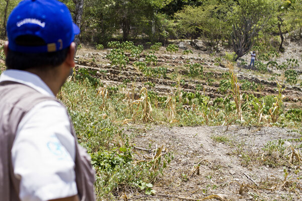 Donación de la UE hace posible la asistencia alimentaria a hogares afectados por la falta de lluvias