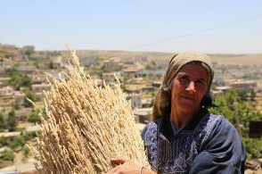 Siria: Las Lluvias Abundantes Ofrecen un Leve Respiro a la Población