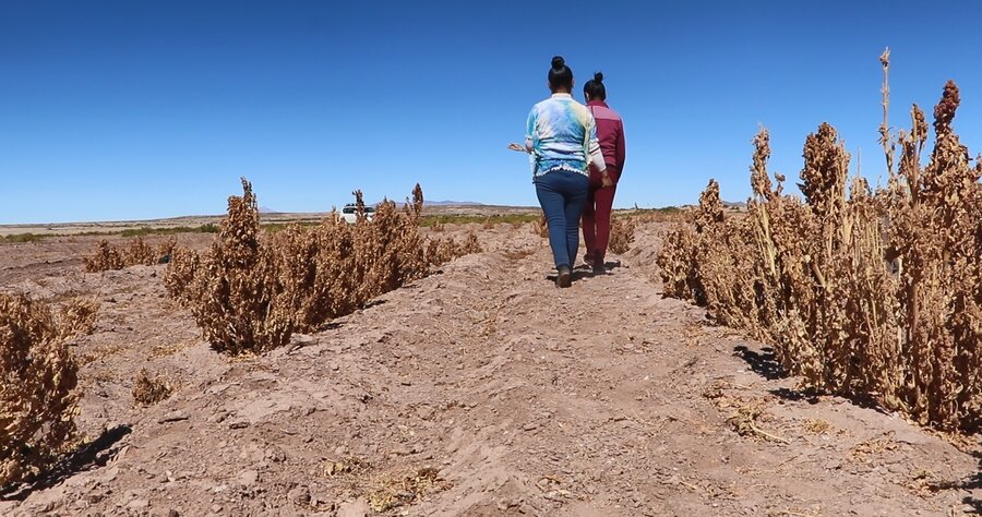 Historia Bolivia turrones quinua 01