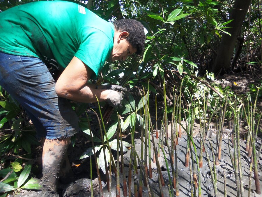 Historia Peces Honduras 07