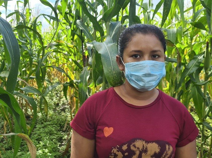 Nicaragua - No truce for smallholder farmers 04